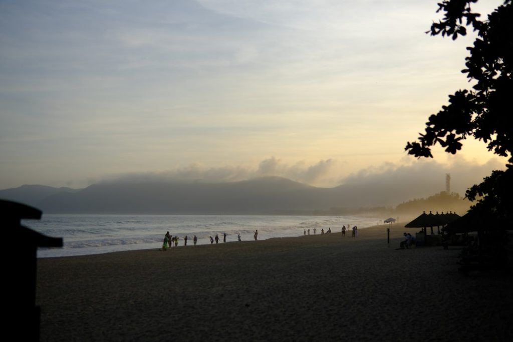 découvrez une plage paisible où le calme et la beauté naturelle vous invitent à la détente et au ressourcement.