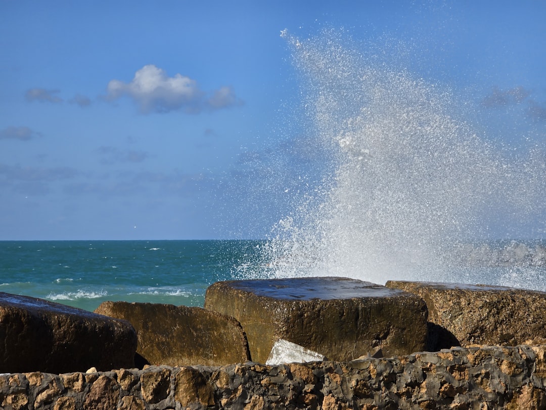 le point mort (break-even point) est le seuil où les recettes égalent les coûts, permettant à une entreprise de ne ni perdre ni gagner d'argent. comprenez son importance pour la gestion financière et la prise de décision.