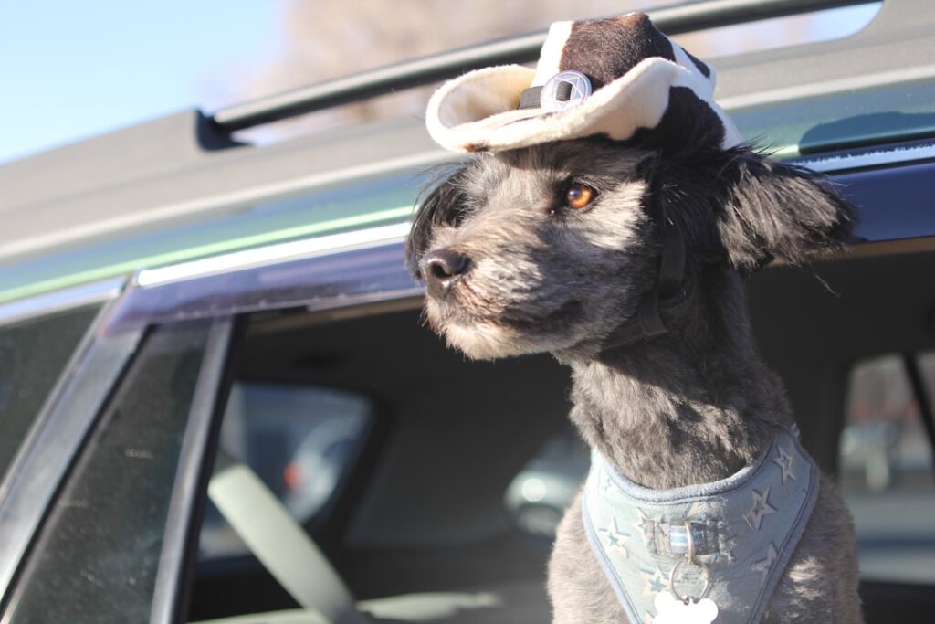 découvrez copilot, votre assistant intelligent qui facilite la création de contenu, améliore la productivité et optimise vos projets grâce à l'intelligence artificielle.