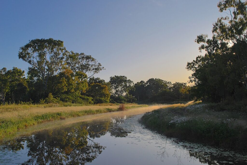 découvrez nos meilleures offres et promotions exclusives pour économiser sur vos achats. ne manquez pas nos deals du moment !