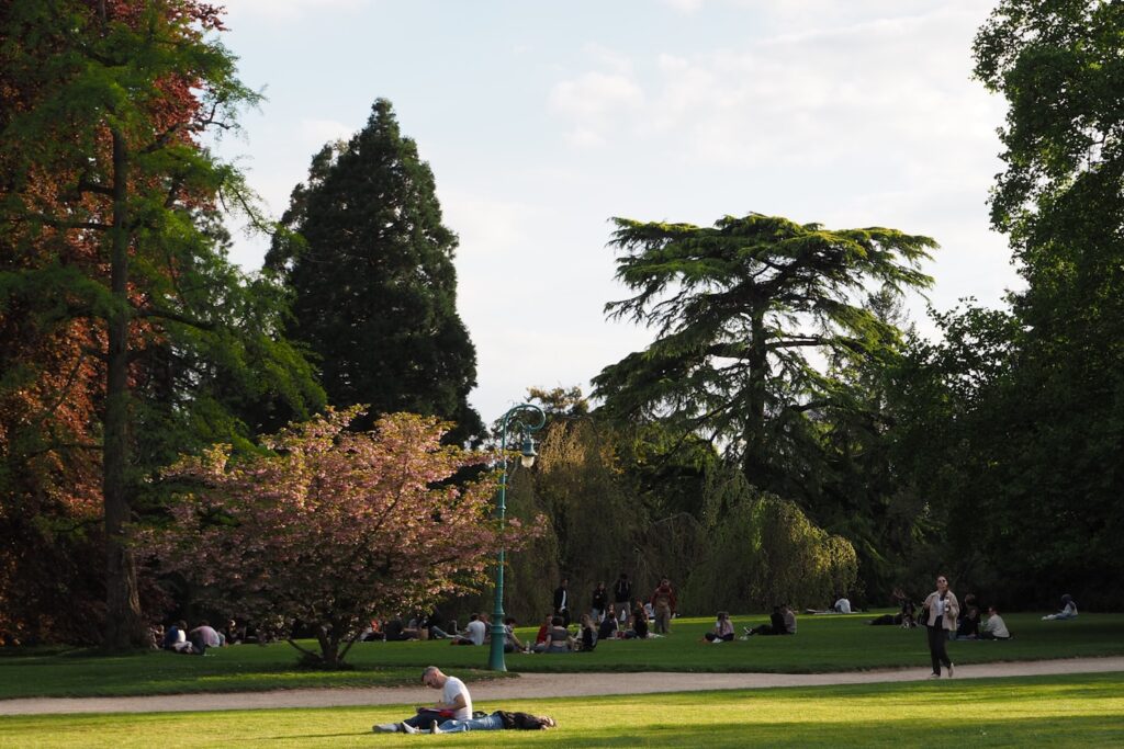 People relaxing in a sunny park with lush green trees.