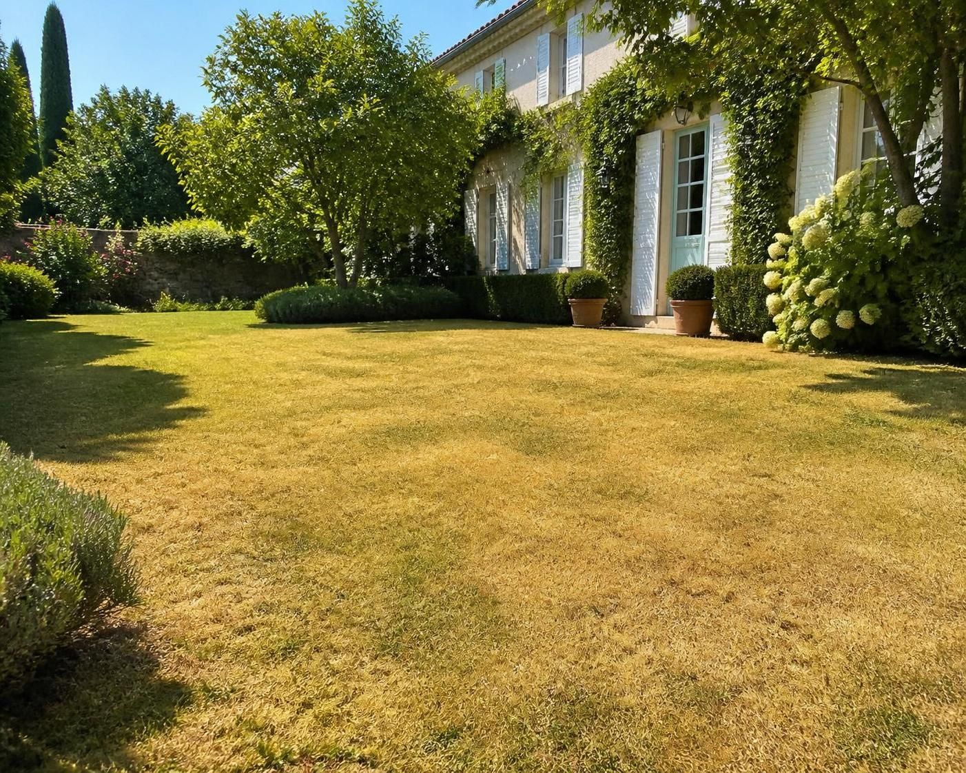 découvrez les inconvénients du gazon anglais avant de l'adopter : entretien, climat, et conseils pour un jardin réussi.