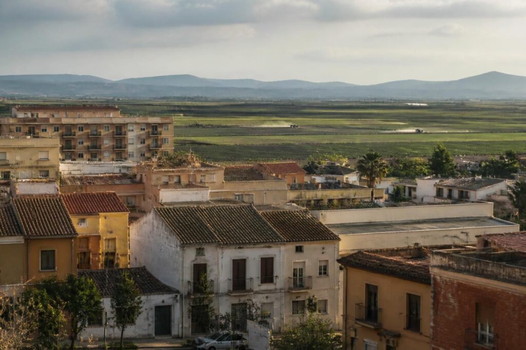 découvrez les impacts de l'utilisation du glyphosate en espagne sur le marché immobilier local, ses enjeux environnementaux et économiques pour les acheteurs et investisseurs.