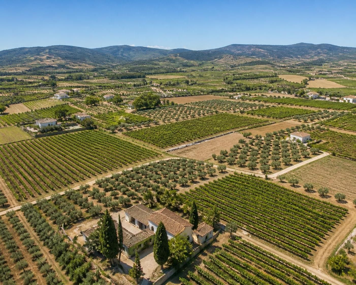 découvrez l'impact du glyphosate en espagne sur le marché immobilier local : enjeux, conséquences et perspectives pour les investisseurs et habitants.